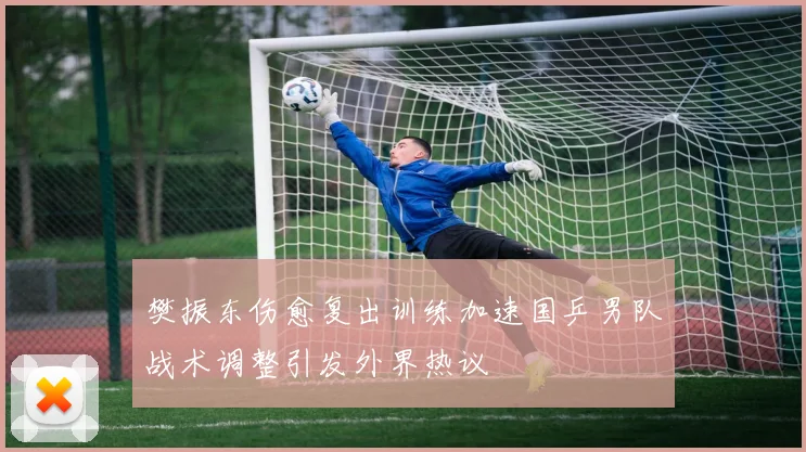 樊振东伤愈复出训练加速国乒男队战术调整引发外界热议