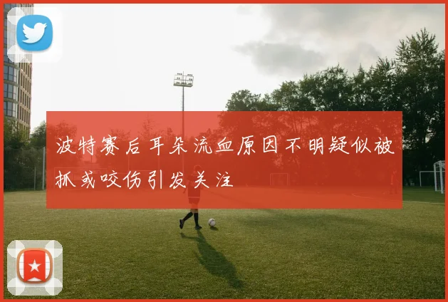 波特赛后耳朵流血原因不明疑似被抓或咬伤引发关注